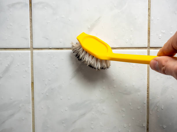 Professional Mold Remediation in St Albans, WV